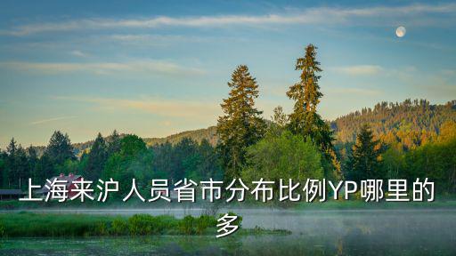 上海來滬人員省市分布比例YP哪里的多