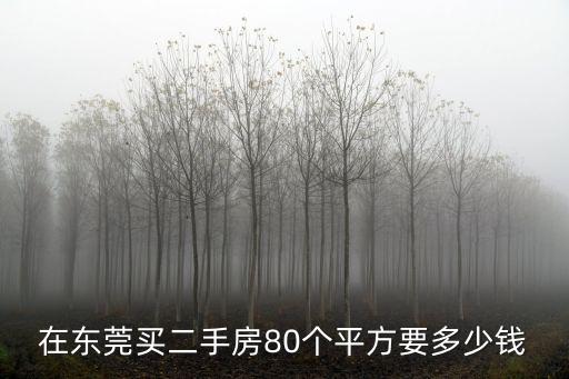 在東莞買二手房80個平方要多少錢