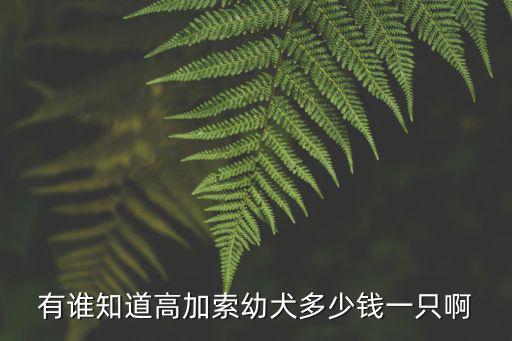 有誰知道高加索幼犬多少錢一只啊