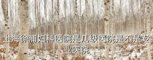 上海市總工會幼兒園是幾級，上海楊思醫院是幾甲醫院呢