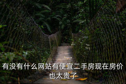 有沒有什么網站有便宜二手房現在房價也太貴了