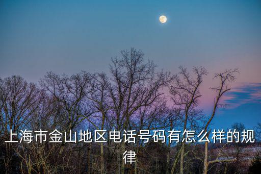 上海市金山區(qū)數(shù)字中心電話號碼，上海金山區(qū)坐機(jī)電話是幾開頭的