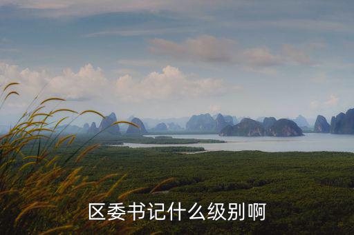 區委書記什么級別啊