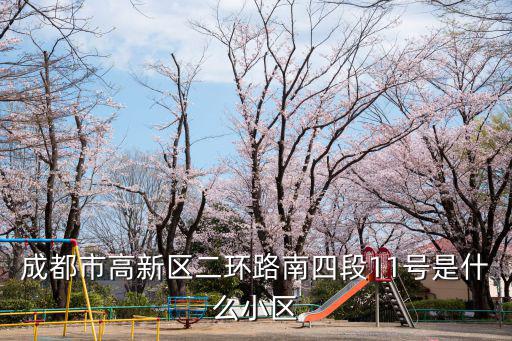 成都市高新區二環路南四段11號是什么小區