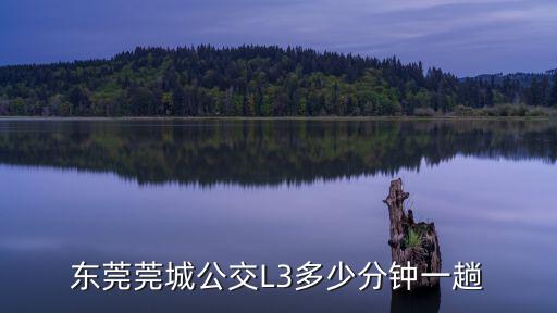 東莞莞城公交L3多少分鐘一趟