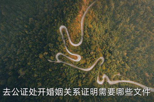 去公證處開婚姻關系證明需要哪些文件