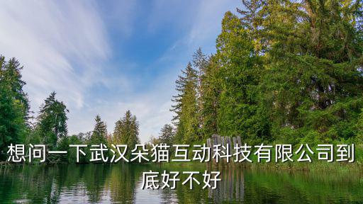 想問一下武漢朵貓互動(dòng)科技有限公司到底好不好