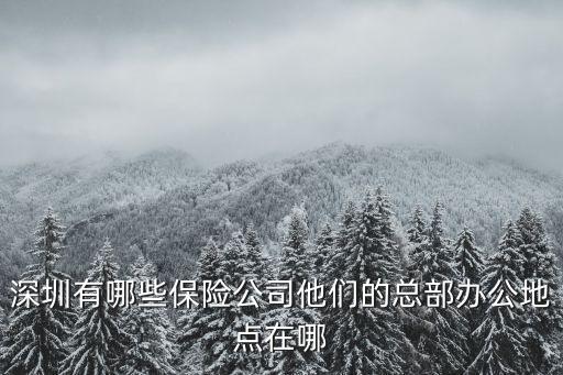 深圳有哪些保險公司他們的總部辦公地點在哪