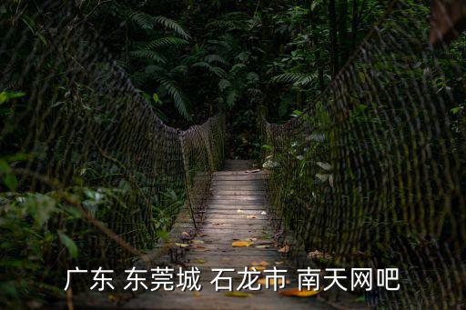 廣東 東莞城 石龍市 南天網吧