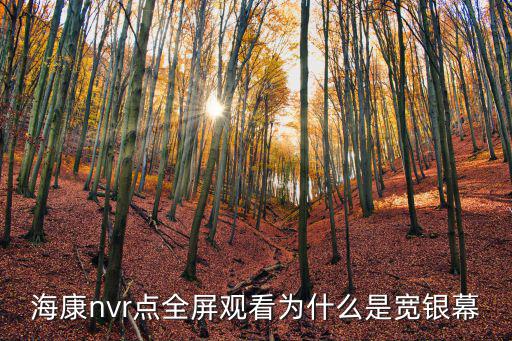 海康nvr點(diǎn)全屏觀看為什么是寬銀幕