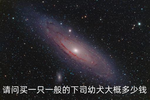 廣西下司犬多少錢一只，請問買一只一般的下司幼犬大概多少錢