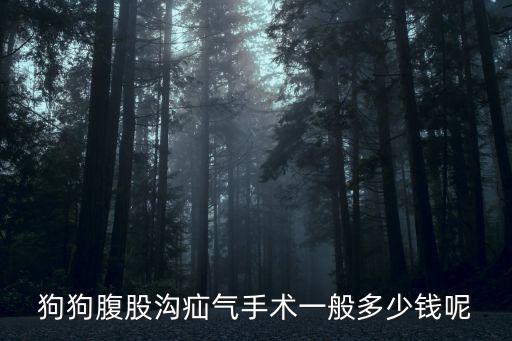 狗狗腹股溝疝氣手術(shù)一般多少錢呢
