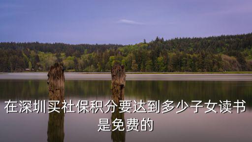 2020年深圳積分上學規(guī)則，在深圳買社保積分要達到多少子女讀書是免費的