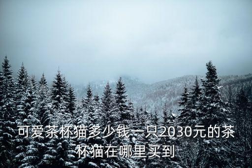可愛茶杯貓多少錢一只2030元的茶杯貓在哪里買到