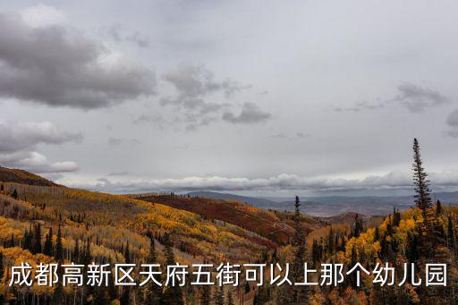 成都高新區(qū)天府五街可以上那個(gè)幼兒園
