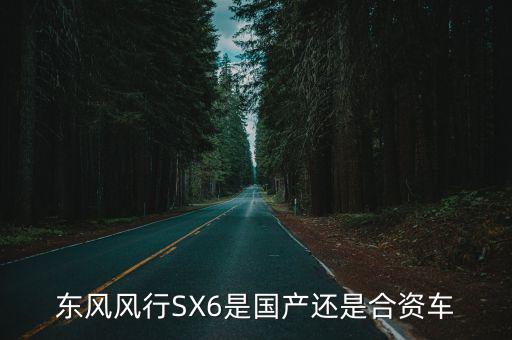 東風(fēng)風(fēng)行SX6是國產(chǎn)還是合資車