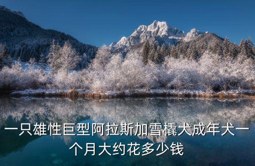 養(yǎng)巨型阿拉斯加能賺多少錢，這只巨型阿拉斯加值多少錢 50天20斤