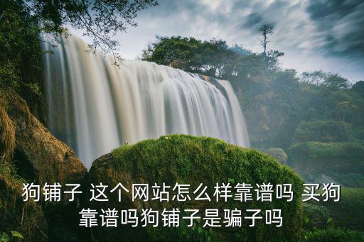 狗鋪子 這個網站怎么樣靠譜嗎 買狗靠譜嗎狗鋪子是騙子嗎