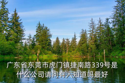 廣東省東莞市虎門鎮(zhèn)捷南路339號是什么公司請問有人知道嗎最好