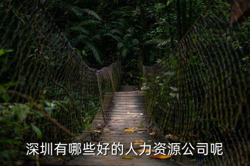深圳華晉達勞務公司，公司是否合法查詢