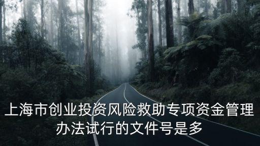 上海市創業投資風險救助專項資金管理辦法試行的文件號是多