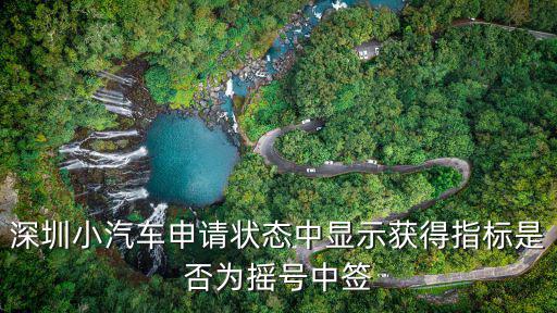 深圳小汽車申請狀態中顯示獲得指標是否為搖號中簽