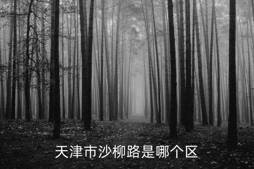 天津市沙柳路是哪個區(qū)