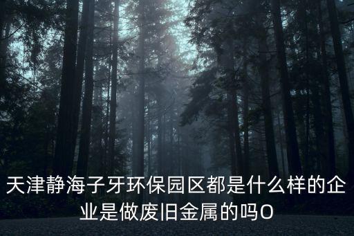 天津市靜海區西瓜子廠，天津靜海子牙環保園區都是什么樣的企業是做廢舊金屬的嗎O