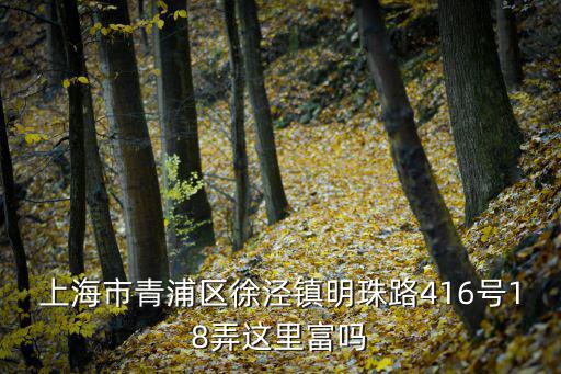 上海市青浦區徐涇鎮明珠路416號18弄這里富嗎