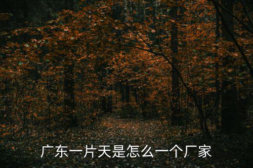 廣東一片天是怎么一個廠家