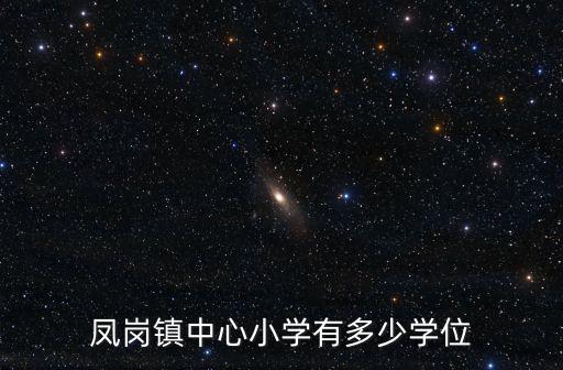 鳳崗鎮(zhèn)中心小學(xué)有多少學(xué)位