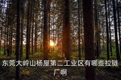 東莞大嶺山楊屋第二工業區有哪些拉鏈廠啊