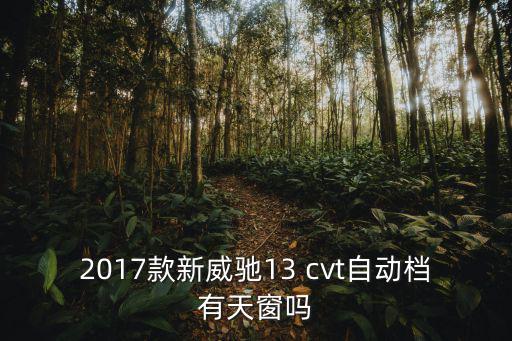 2017款新威馳13 cvt自動(dòng)檔有天窗嗎
