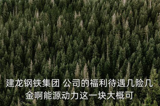 建龍鋼鐵集團 公司的福利待遇幾險幾金啊能源動力這一塊大概可