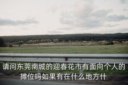 請問東莞南城的迎春花市有面向個人的攤位嗎如果有在什么地方什