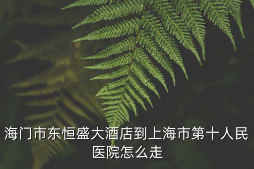 海門市東恒盛大酒店到上海市第十人民醫院怎么走