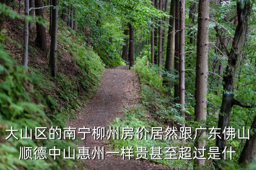 大山區(qū)的南寧柳州房價居然跟廣東佛山順德中山惠州一樣貴甚至超過是什