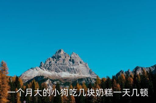 沒滿月的狗一頓喂多少粒奶糕，狗狗一個多月早晚各喂55粒奶糕可以嗎