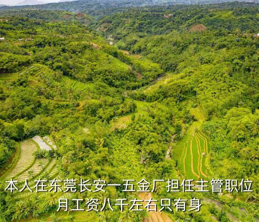 本人在東莞長安一五金廠擔(dān)任主管職位月工資八千左右只有身