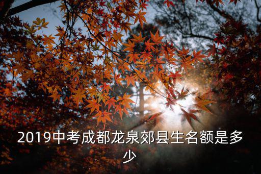 2019中考成都龍泉郊縣生名額是多少