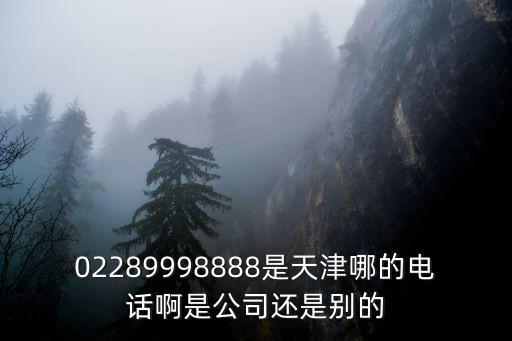 02289998888是天津哪的電話啊是公司還是別的