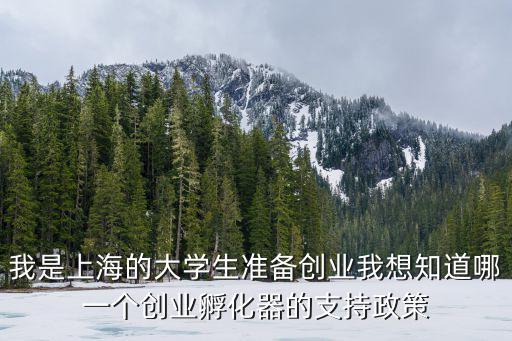 我是上海的大學(xué)生準(zhǔn)備創(chuàng)業(yè)我想知道哪一個創(chuàng)業(yè)孵化器的支持政策