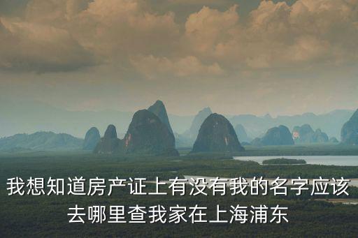 上海市浦東新區不動產登記查詢，我想知道房產證上有沒有我的名字應該去哪里查我家在上海浦東