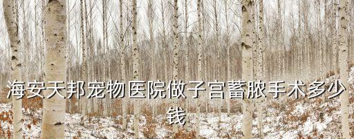 子宮蓄膿需要多少錢，子宮發(fā)炎大概要多少錢來治療