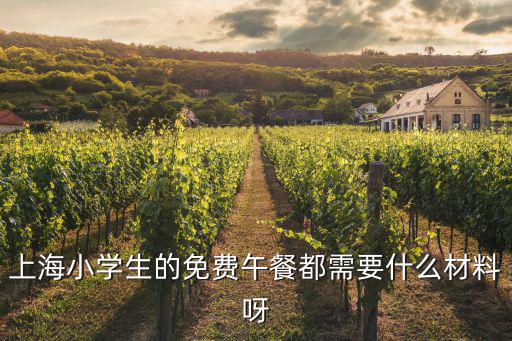 上海市免費午餐條件，上海中小學生吃免費午餐有一方是農村戶口必要什么證明條件為什么街道