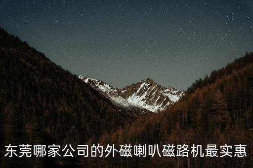 東莞哪家公司的外磁喇叭磁路機(jī)最實(shí)惠