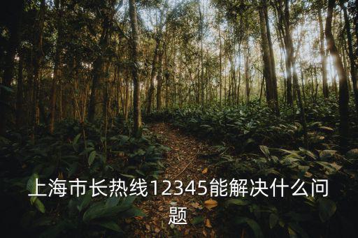 上海市市長留言板，上海市長熱線12345能解決什么問題