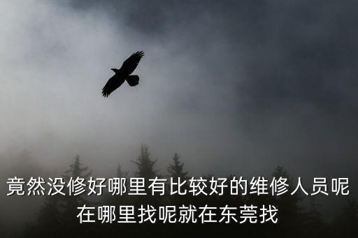 竟然沒修好哪里有比較好的維修人員呢在哪里找呢就在東莞找