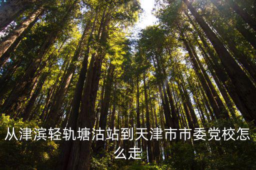 從津濱輕軌塘沽站到天津市市委黨校怎么走