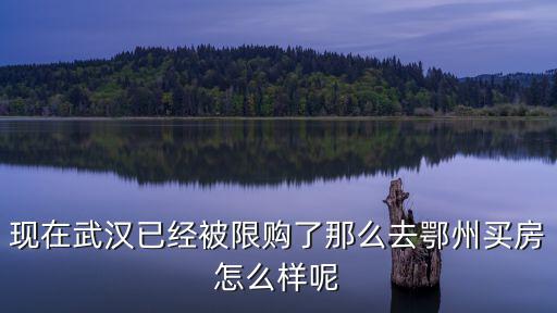 鄂州哪個區房價最高，鄂州哪個地段買房升值空間大